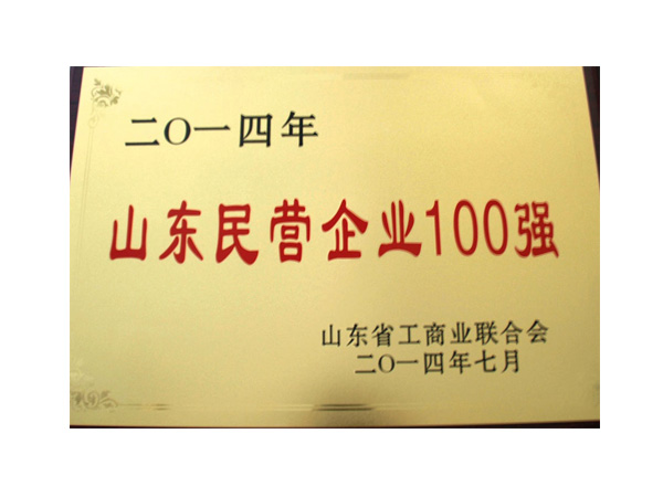 山东民营企业100强