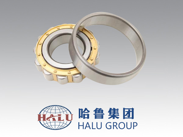 CYLINDRICAL ROLLER BEA...