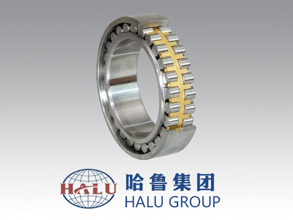 CYLINDRICAL ROLLER BEA...