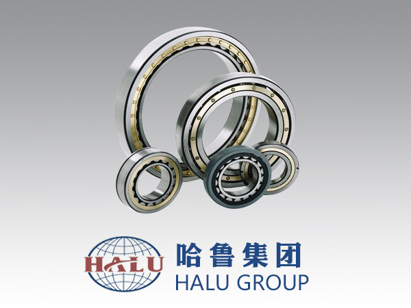 CYLINDRICAL ROLLER BEA...