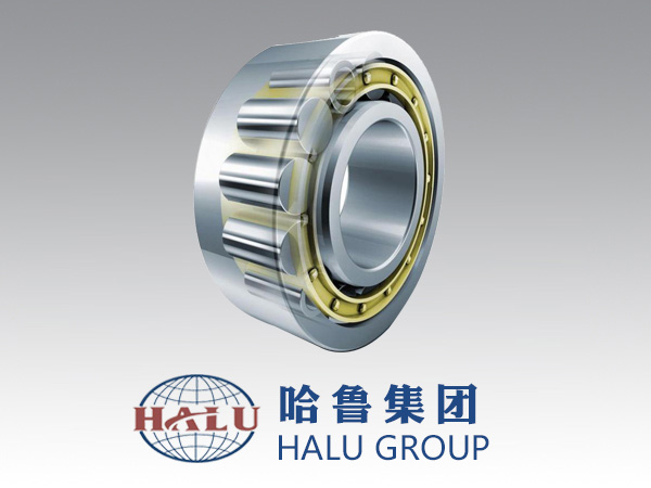 CYLINDRICAL ROLLER BEA...