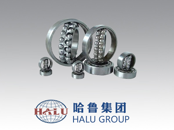 SPHERICAL BALL BEARING