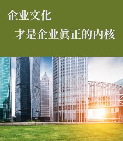深沟球轴承在电机行业中的应用要求与选型要点