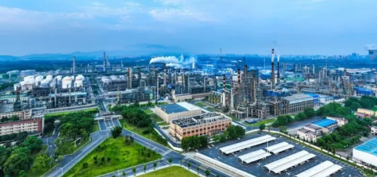 山东哈鲁轴承深沟球轴承与调心球轴承选型差异及适用工况解析